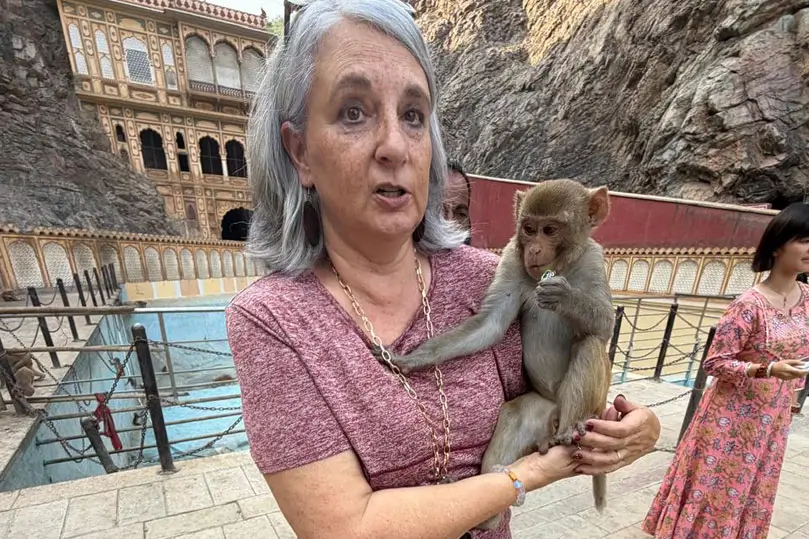 India Fortune Journey