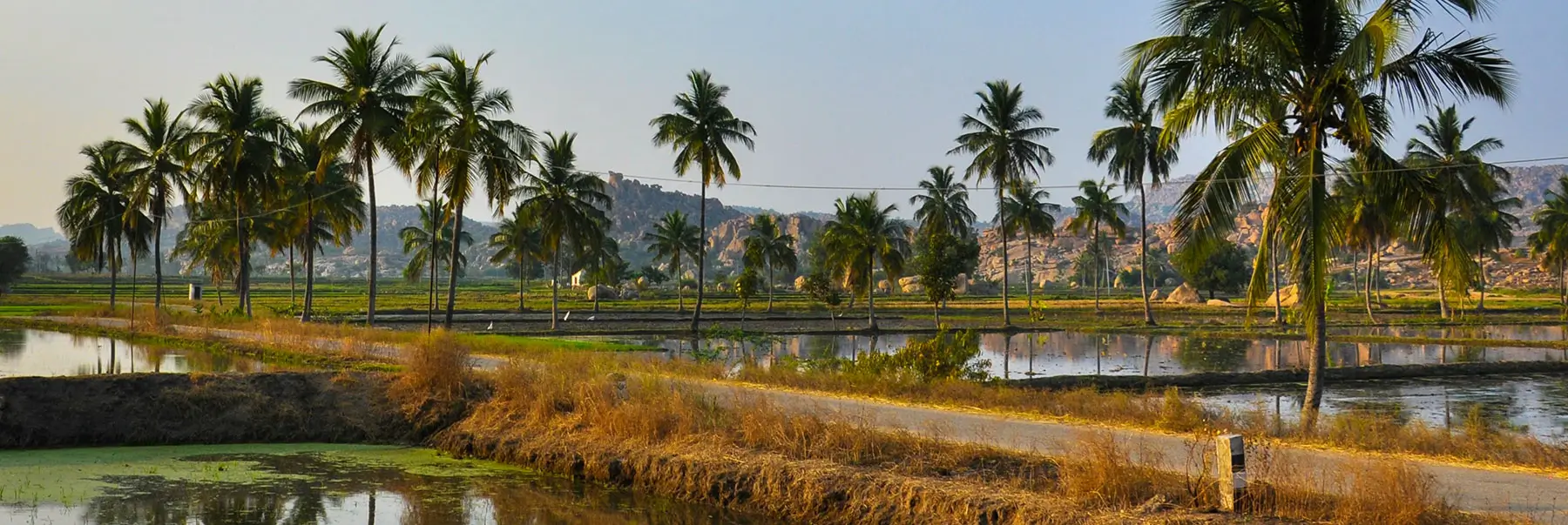 Karnataka Heritage, Wildlife & Culture Tour