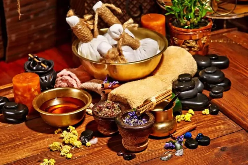 Kerala Ayurveda and Backwater Wellness Tour | 7 Days Kerala Relaxation Holiday