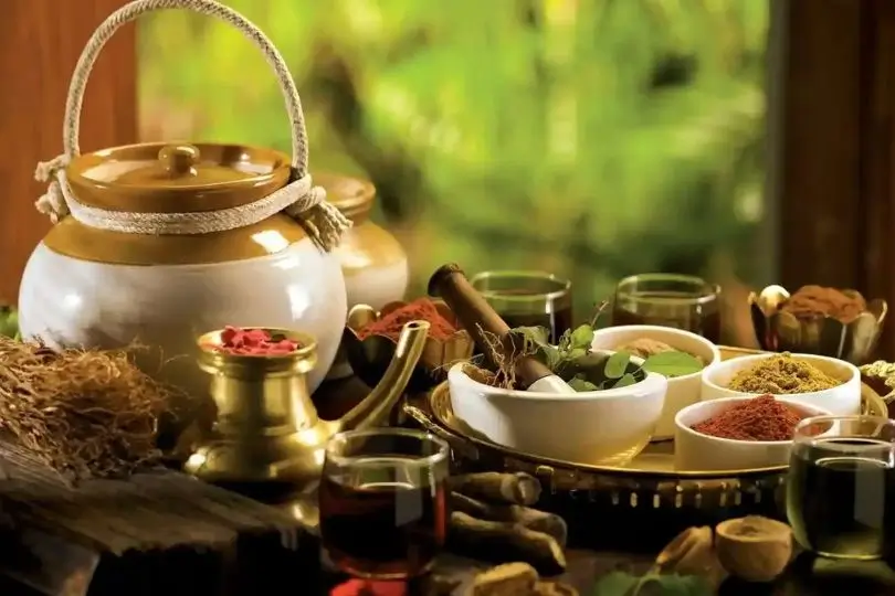 Kerala Backwaters, Ayurveda and Hill Station Tour | 12 Days Kerala Nature Holiday
