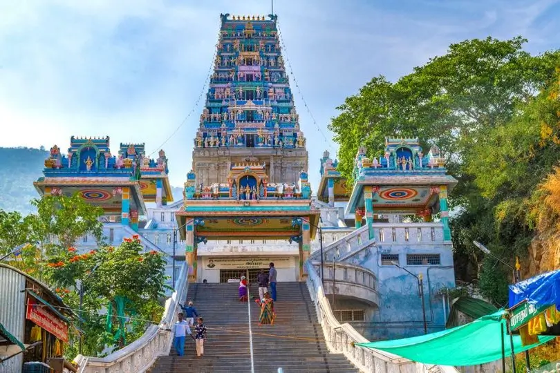 Luxury South India Tour with Kerala, Tamil Nadu & Karnataka | 21 Days Premium Journey