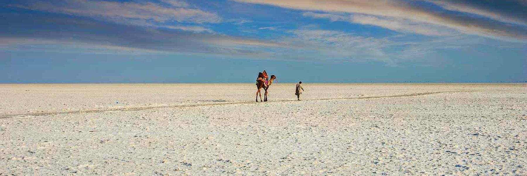 gujarat-heritage-wildlife-kutch-tour