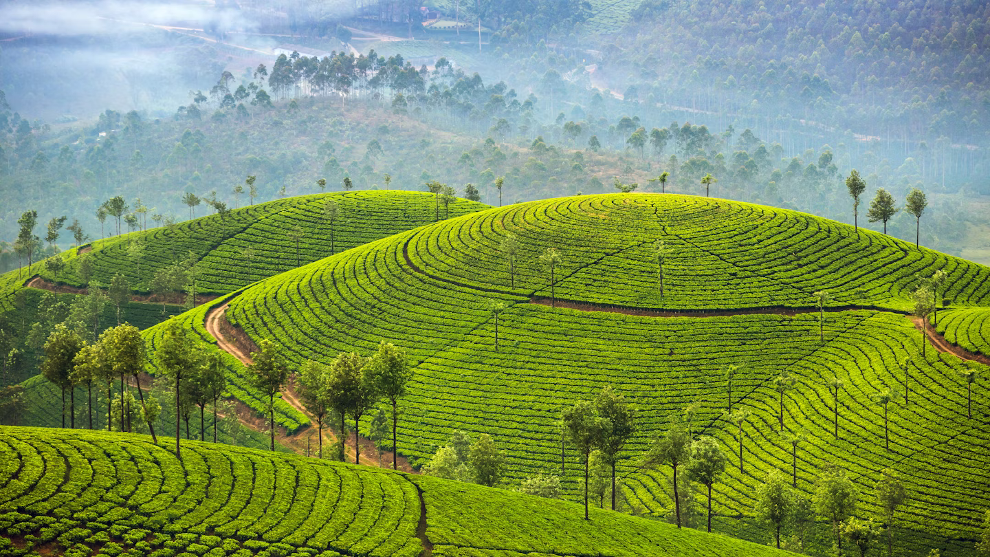 Kerala Tour – Nature, Culture & Adventure in South India