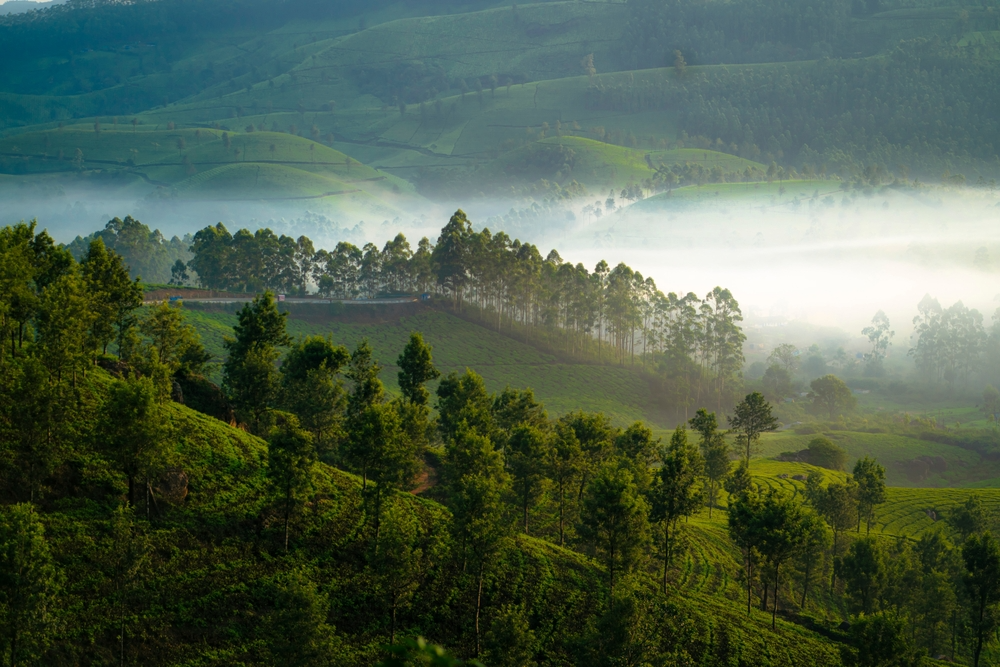 Monsoon Attractions: Best Places to Visit in India in Monsoon 2026